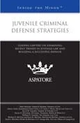 Juvenile Criminal Defense Strategies