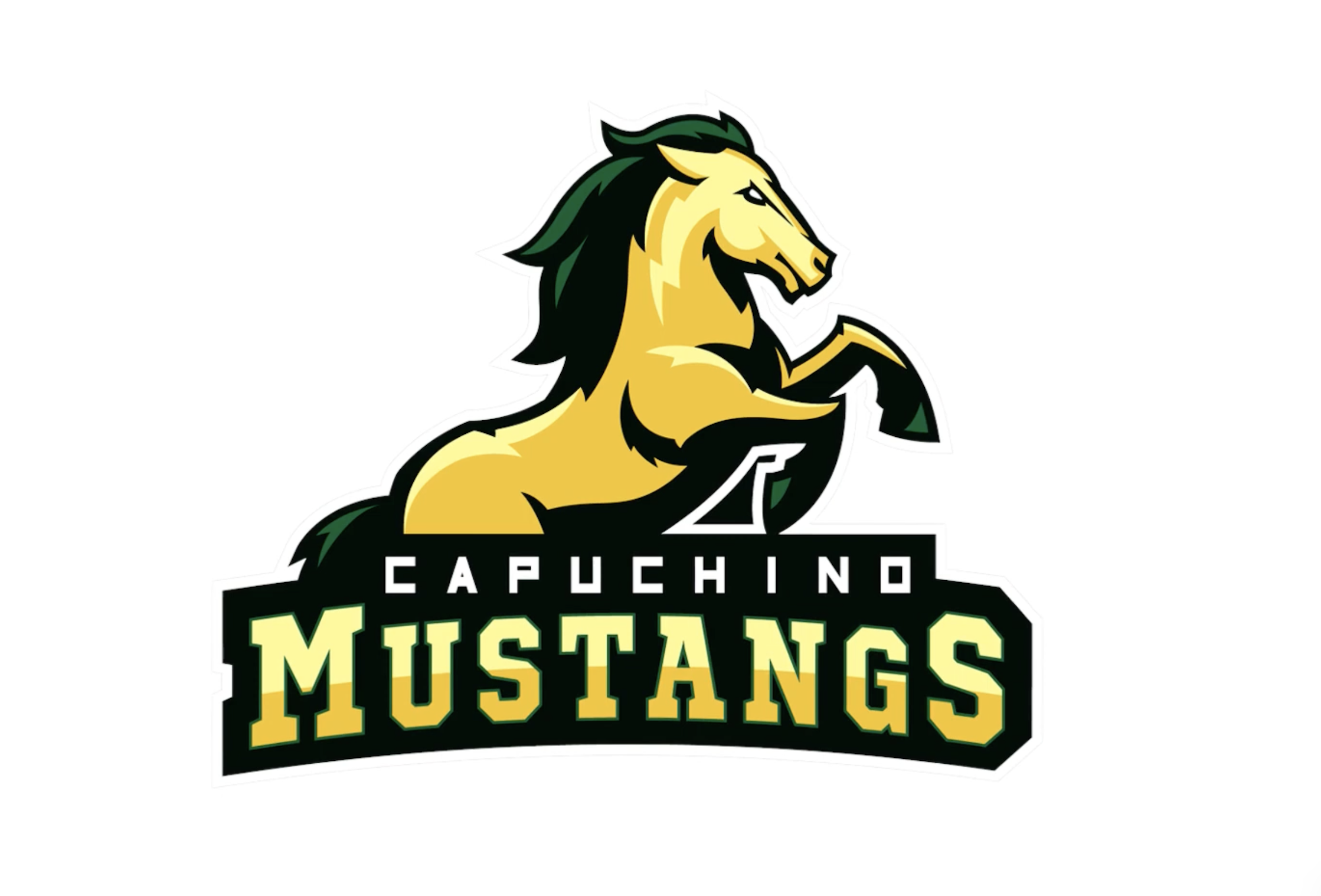 Capuchino High School - Community Involvement